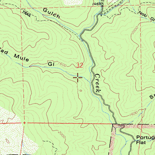 Topographic Map of Mad Mule Gulch, CA