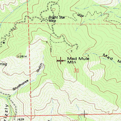 Topographic Map of Mad Mule Mountain, CA