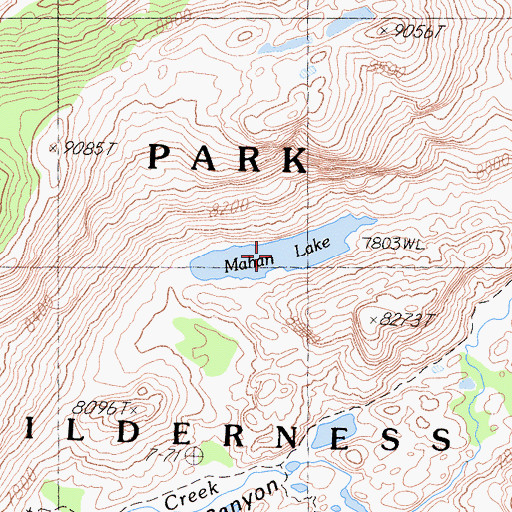 Topographic Map of Mahan Lake, CA