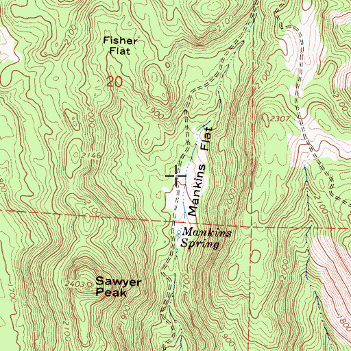Topographic Map of Mankins Flat, CA