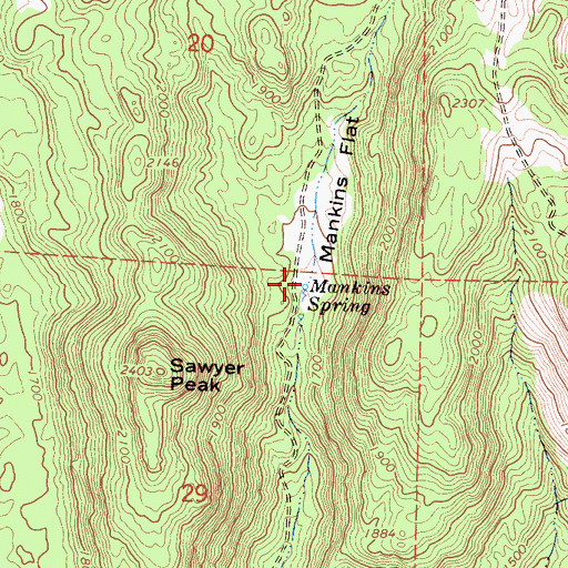 Topographic Map of Mankins Spring, CA