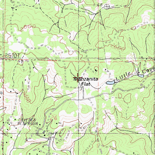 Topographic Map of Manzanita Flat, CA
