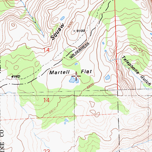Topographic Map of Martell Flat, CA