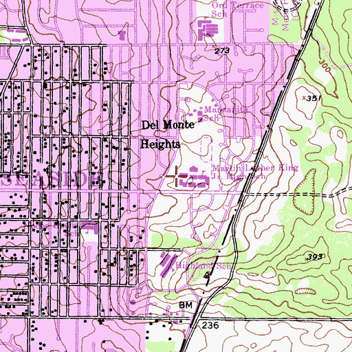 Topographic Map of Martin Luther King Junior Elementary School, CA