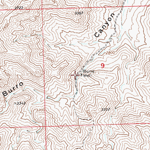 Topographic Map of Burro Well, AZ
