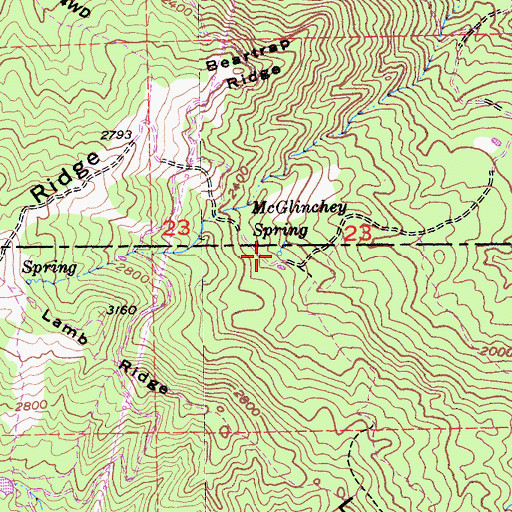 Topographic Map of McGlinchey Spring, CA