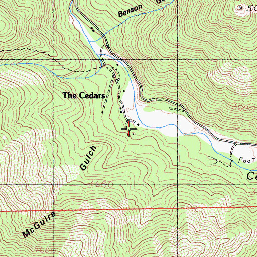 Topographic Map of McGuire Gulch, CA