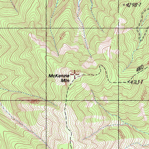 Topographic Map of McKenzie Mountain, CA