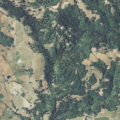 Aerial/Satellite Image of Meyer Gulch, CA