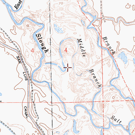 Topographic Map of Middle Branch Salt Slough, CA