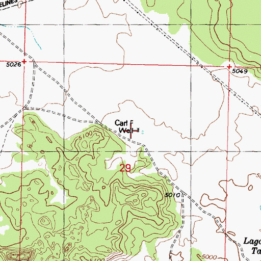 Topographic Map of Carl F Well, AZ