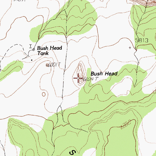 Topographic Map of Bush Head, AZ