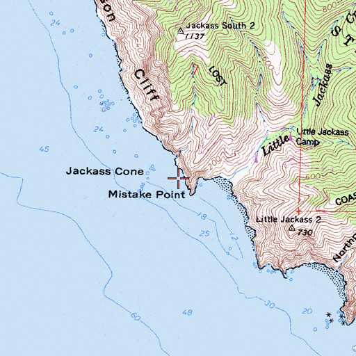 Topographic Map of Mistake Point, CA