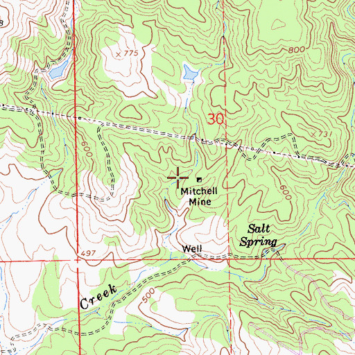 Topographic Map of Mitchell Mine, CA
