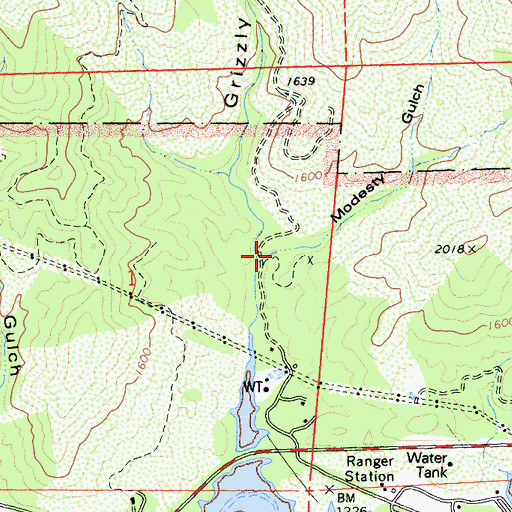 Topographic Map of Modesty Gulch, CA