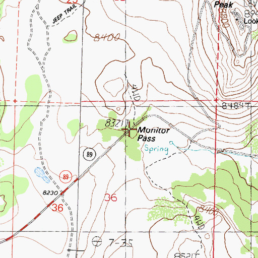 Topographic Map of Monitor Pass, CA