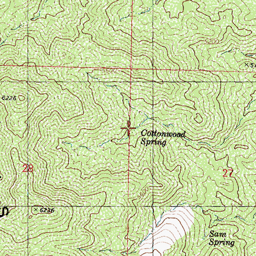 Topographic Map of Cottonwood Spring, AZ
