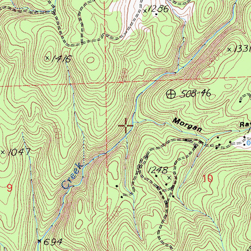 Topographic Map of Morgan Ravine, CA