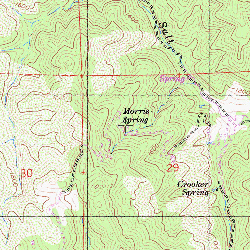 Topographic Map of Morris Spring, CA