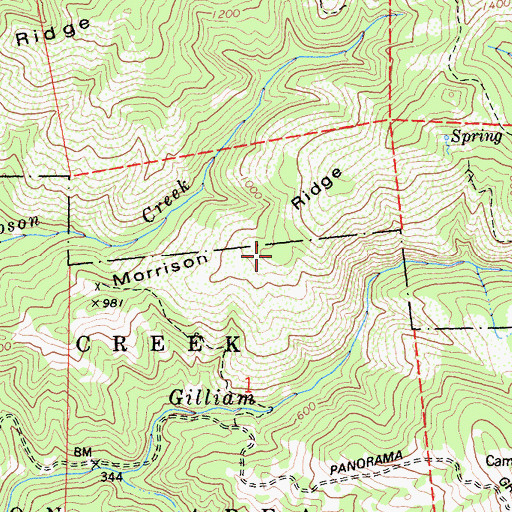 Topographic Map of Morrison Ridge, CA