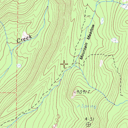 Topographic Map of Mountain Meadow, CA