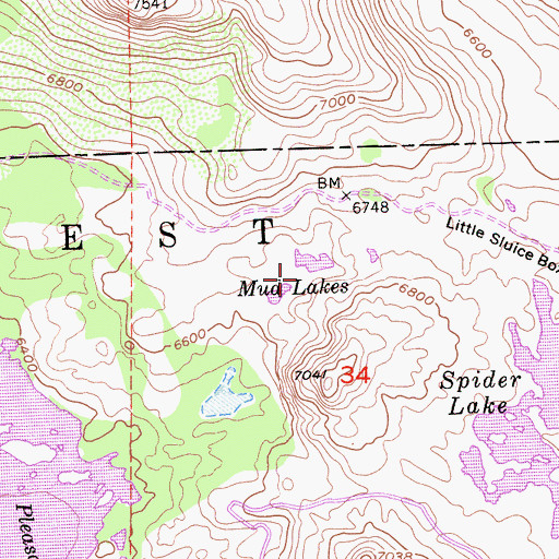 Topographic Map of Mud Lakes, CA