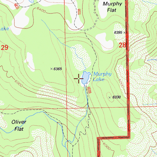 Topographic Map of Murphy Lake, CA