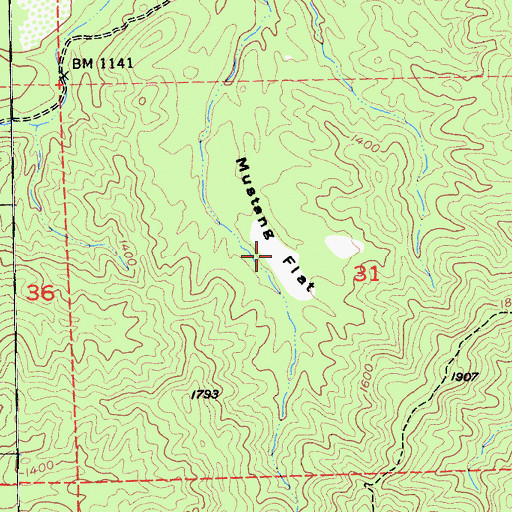 Topographic Map of Mustang Flat, CA