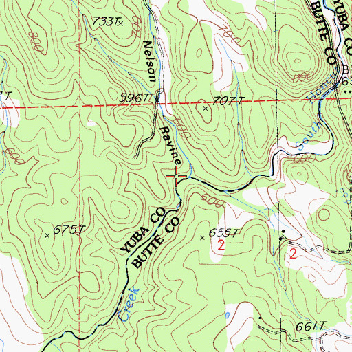 Topographic Map of Nelson Ravine, CA