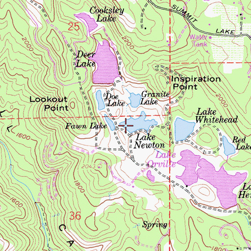 Topographic Map of Lake Newton, CA