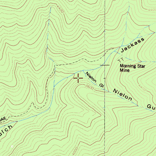 Topographic Map of Nielon Gulch, CA