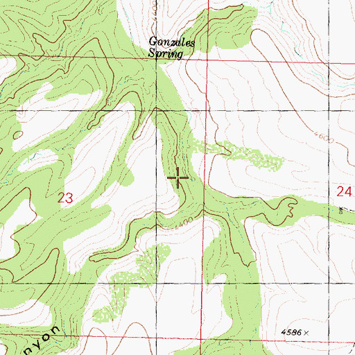 Topographic Map of Gonzales Canyon, AZ