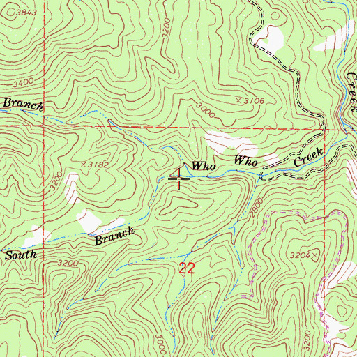 Topographic Map of North Branch Who Who Creek, CA