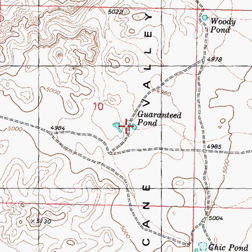Topographic Map of Guaranteed Pond, AZ