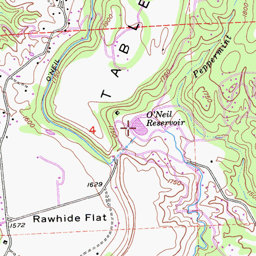 Topographic Map of O'Neil Reservoir, CA