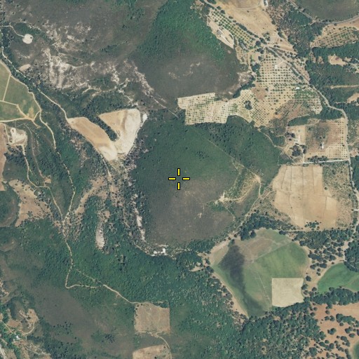 Aerial/Satellite Image of Mount Olive, CA