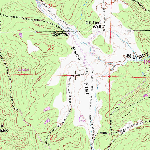 Topographic Map of Pace Flat, CA