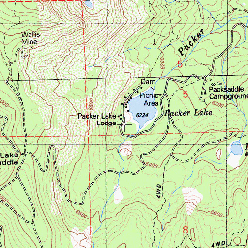 Topographic Map of Packer Lake Lodge, CA