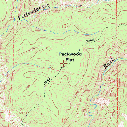 Topographic Map of Packwood Flat, CA