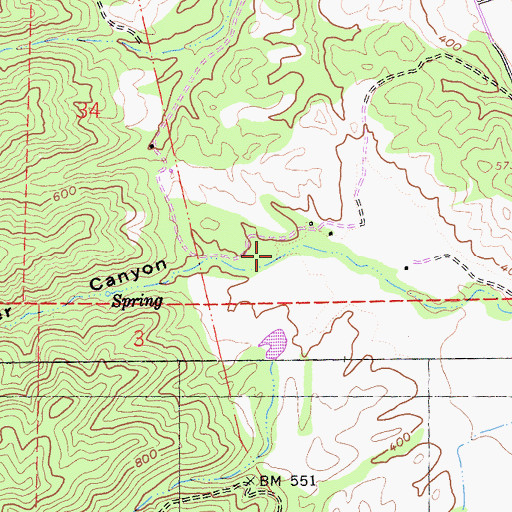 Topographic Map of Palmer Canyon, CA