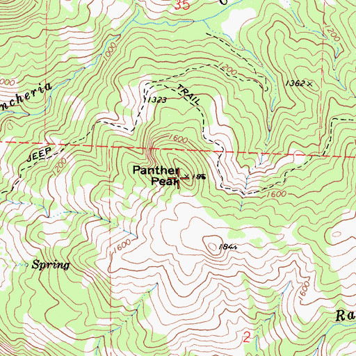 Topographic Map of Panther Peak, CA