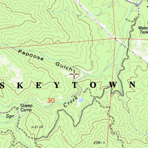 Topographic Map of Papoose Creek, CA