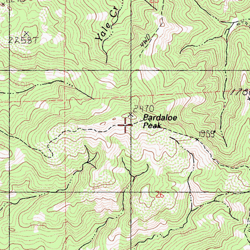 Topographic Map of Pardaloe Peak, CA