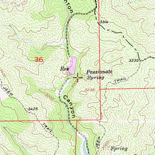Topographic Map of Passionate Spring, CA