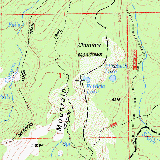 Topographic Map of Patricia Lake, CA