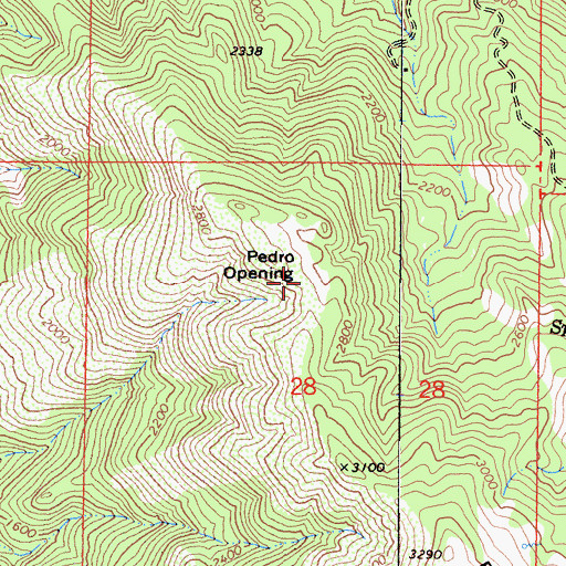 Topographic Map of Pedro Opening, CA