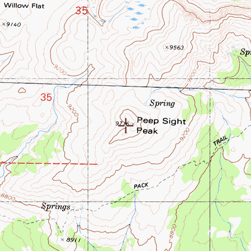 Topographic Map of Peep Sight Peak, CA