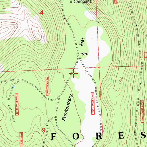 Topographic Map of Penitentiary Flat, CA