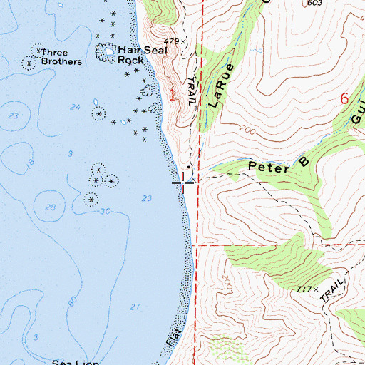 Topographic Map of Peter Gulch, CA