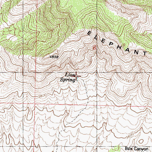Topographic Map of Lion Spring, AZ